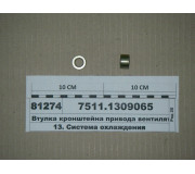 75111309065