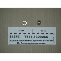 75111309065