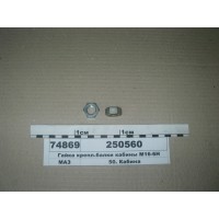 250560