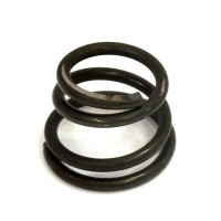 Пружина пальця рульового (СТМ S.I.L.A.)