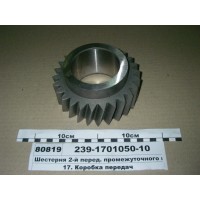 239170105010
