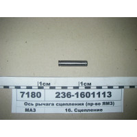 2361601113