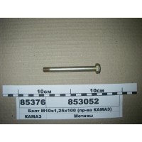 Болт М10х1, 25x100 (Н.Човни)