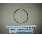 50100202201