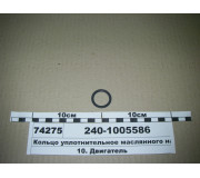 2401005586