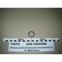 2401005586