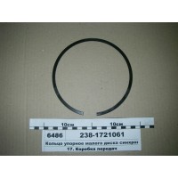 2381721061