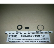 Р/к циліндра пневматичної d30х25 (ПААЗ)