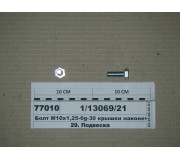 Болт М10х1 ,25-6g-30 кришки накінечн. (Белебей)