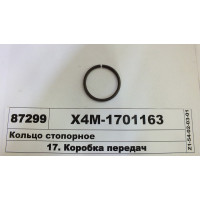 ХЧМ1701163