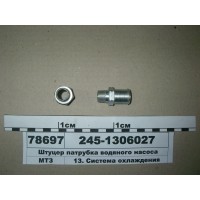 2451306027