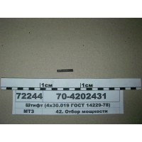 704202431