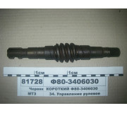 Черв'як короткий (в-во БЗТДиА)