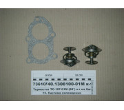 Термостат ТС-107-01М (80°) к-т 2шт з прокладкою (ПРАМО, Ставрово)