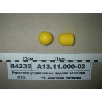А131100002