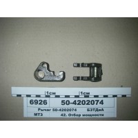 504202074