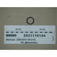 2531116144