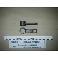 504202058