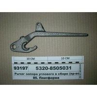 53208505031