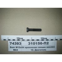 310156П2