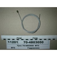 704803050