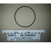 501002022