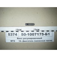 501007175Б1