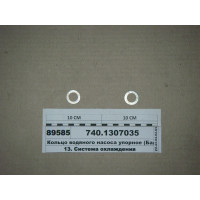 Кільце водяного насоса упорне (Балаково)